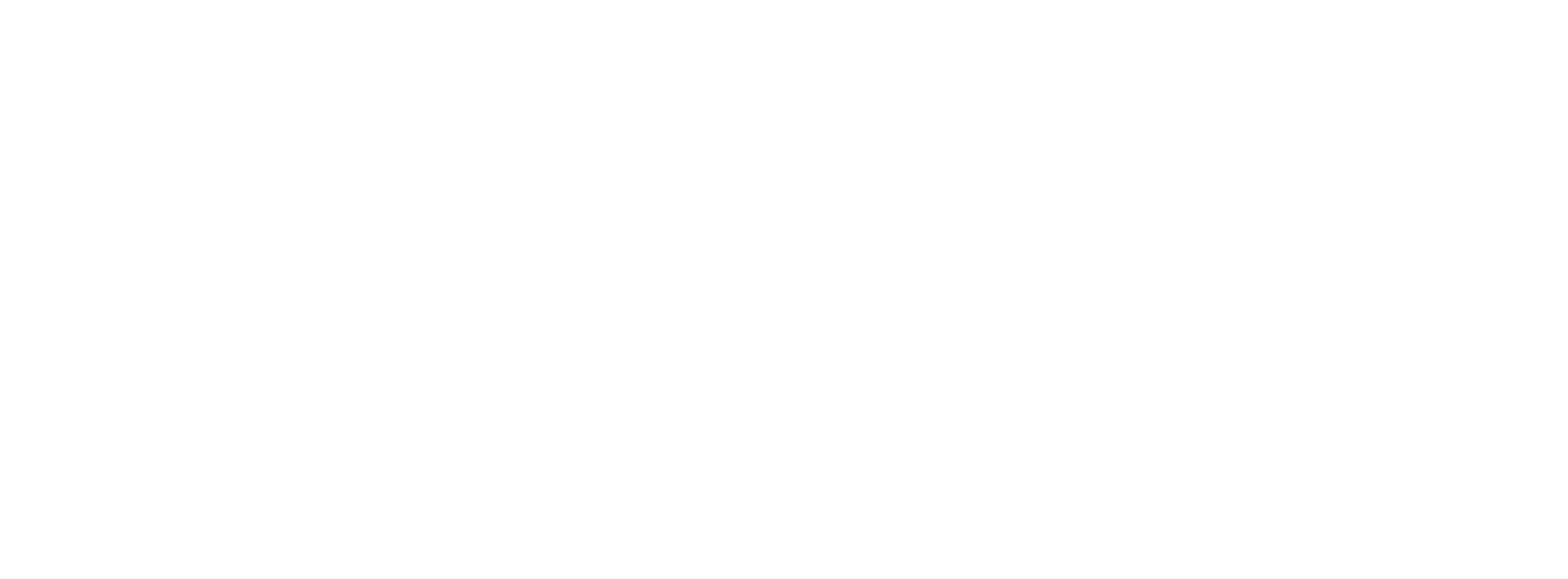 Acron Aviation Logo